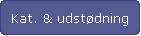 Katalysator og udst�dning